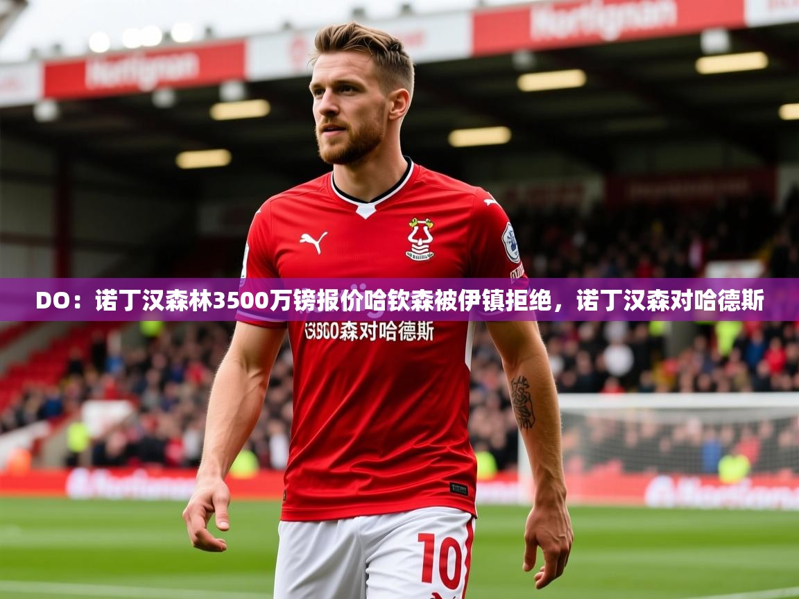 2025爱游戏体育appDO:诺丁汉森林3500万镑报价哈钦森被伊镇拒绝,诺丁汉森对哈德斯 第2张