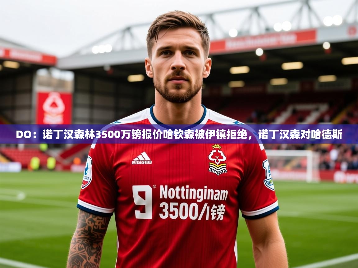 2025爱游戏体育appDO:诺丁汉森林3500万镑报价哈钦森被伊镇拒绝,诺丁汉森对哈德斯 第3张